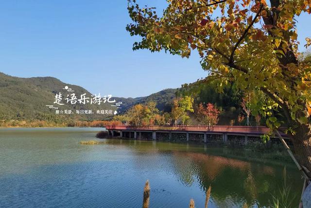 浙江绍兴少有人来的湖泊，景观步道被红杉掩映，平日秀丽秋色更美