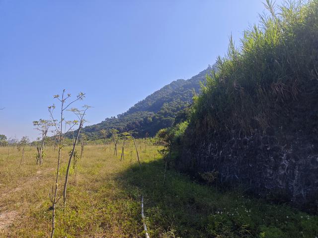 塘朗山郊野公园[绿平二路入口]骑行爬坡好地方
