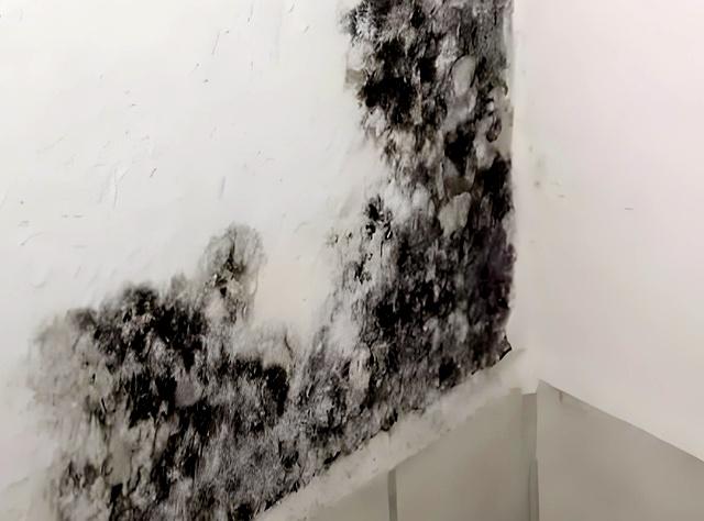 终于有专家说实话了！买了一楼带院的房子，为什么都开始后悔？