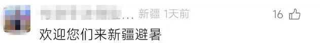 伊昭公路“八月飞雪”全网刷屏！当地相关部门回应→