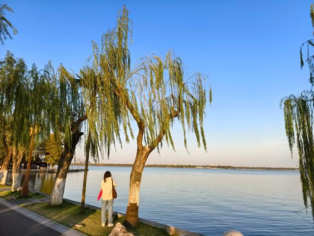 2025年赴武汉疗养记：历史与诗意的邂逅