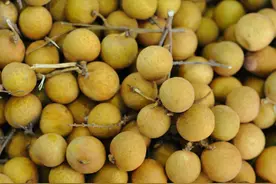 桂圆用得好，化瘀健脾，行气散结，便宜好用，知道的人不多！图片