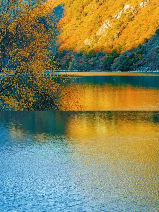 松坪沟的秋天，把油画里的颜色都搬来了