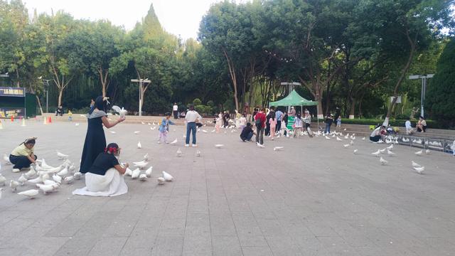 第一次来银川，毫无目的瞎逛一天