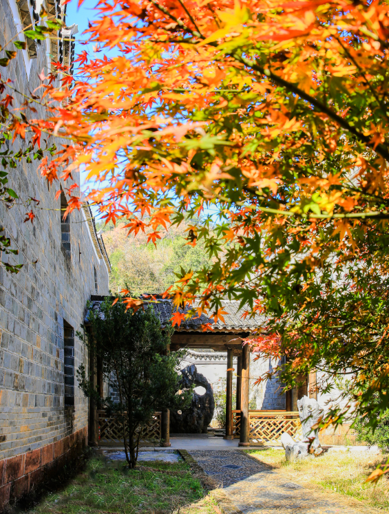 年假清零倒计时，该出发了！把最后几天留给韶关的彩林山水