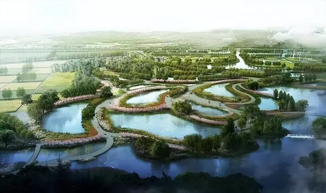 丹阳要建练湖文化公园：从千年水柜到城市文化客厅的复兴之路
