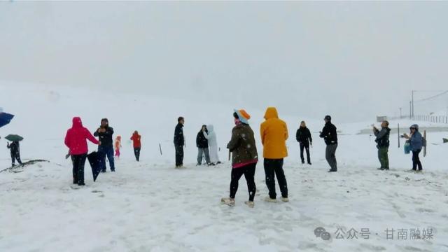 八月飞雪！扎尕那那黑卡银装素裹引人入胜