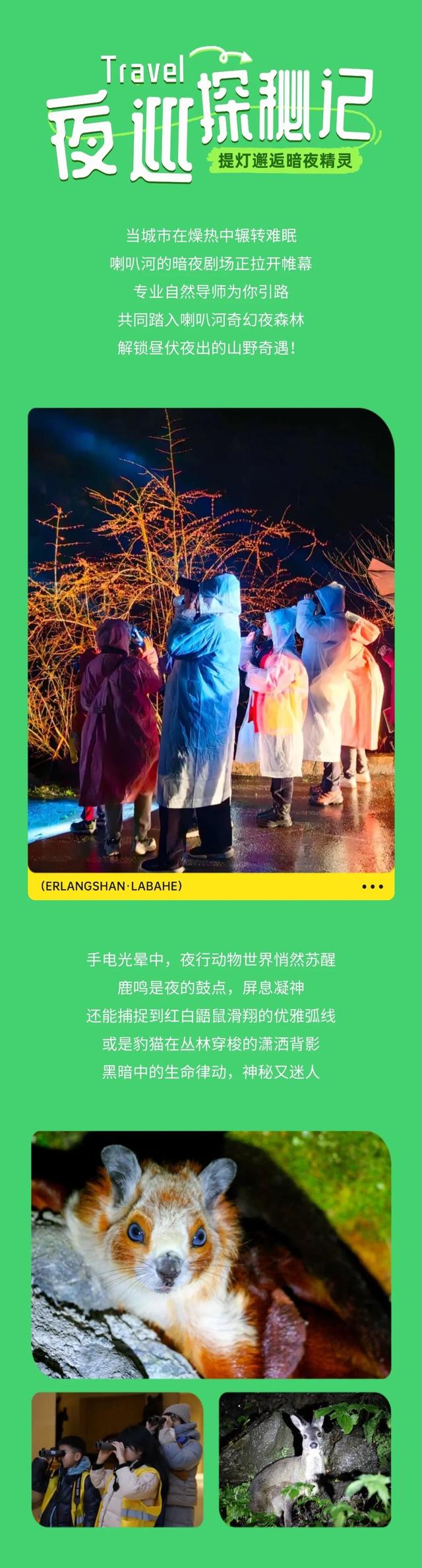 成都周边3h可达宝藏避暑地！来喇叭河一键降温！山风制冷超带感！