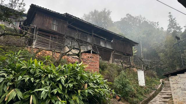 到贵州岜沙苗寨去看油菜花
