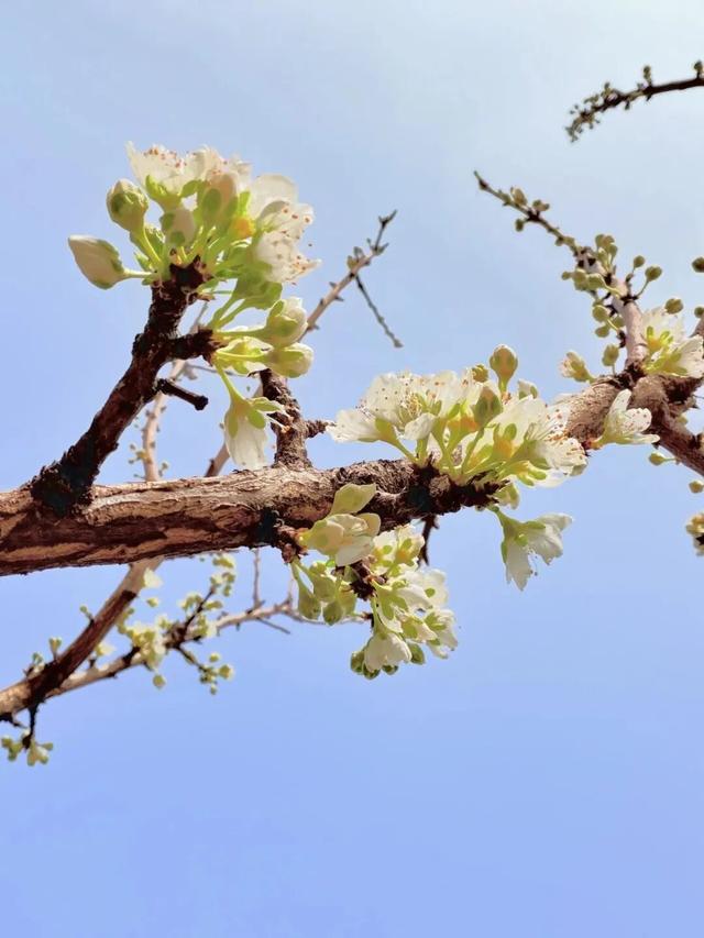 临沂春假旅行指南，请查收