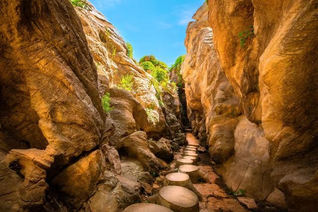 “辽超”的票根有用！金石滩这些景点免费游！