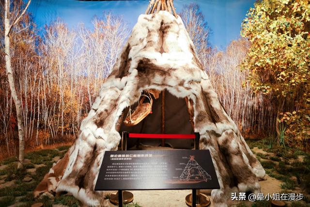 内蒙古远超预期的综合性博物馆，亲子旅行必打卡