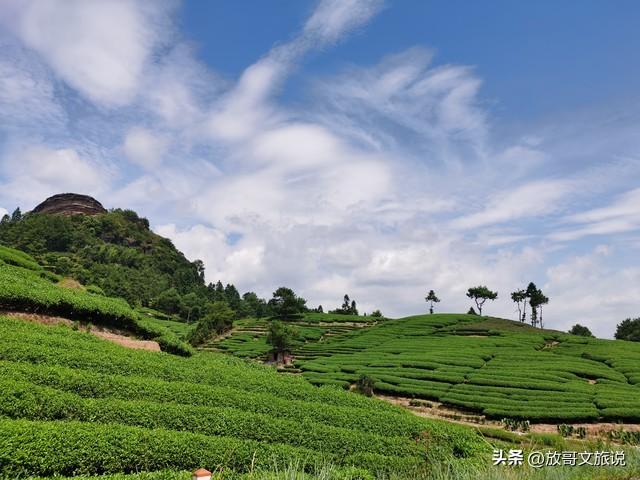 官宣！武夷山三月向全球游客免费！双世遗的春天在等你