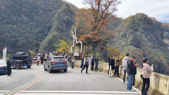 旺苍红叶漫山红透 景区人山人海掀赏叶热潮