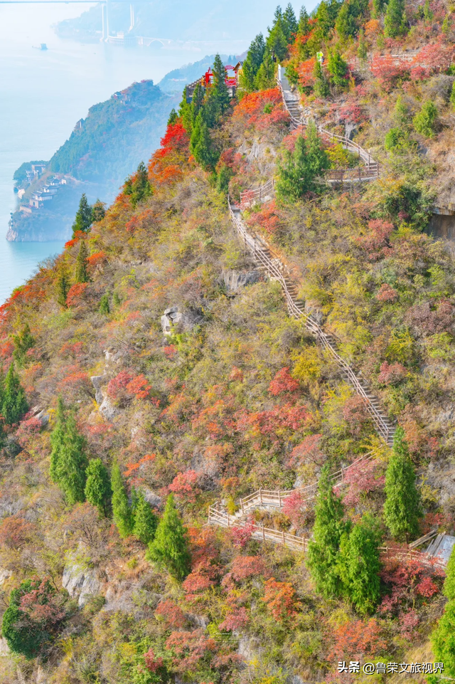 徒步三峡：霜叶漫山处，一步一千年