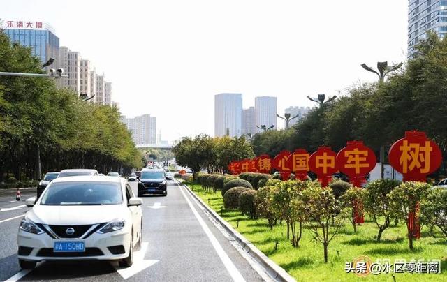 乌鲁木齐市水磨沟区——快来打卡！水磨沟街头“庆生花景”已上线，一起邂逅秋日里的缤纷与生机
