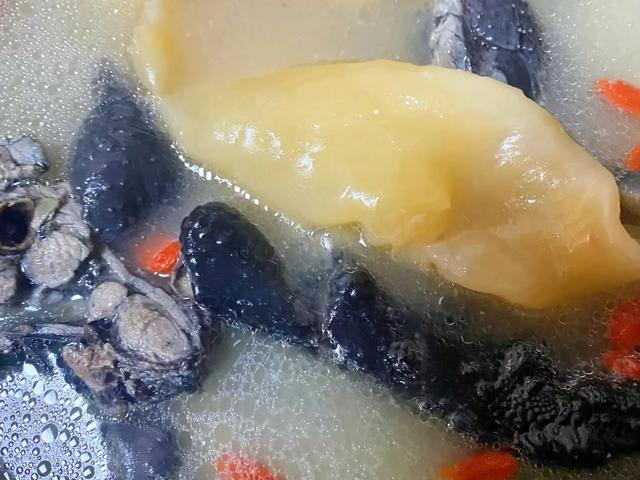 花胶烦乌鸡黑豆一起吗 2026年乌鸡黑豆花胶汤 花胶烦乌鸡黑豆一起吗 2026年乌鸡黑豆花胶汤