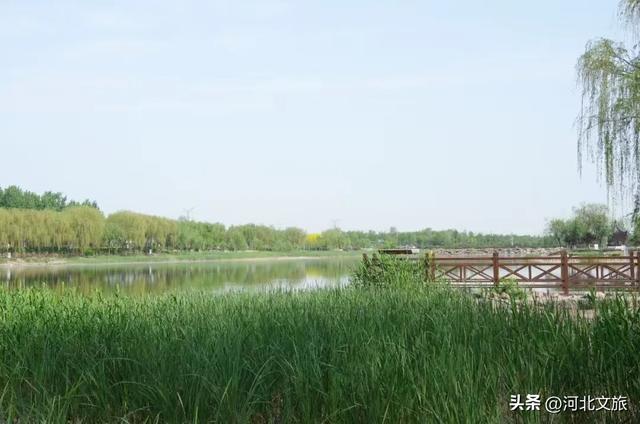 解读一街一河五湖十六泉|第七站：邢泽湖