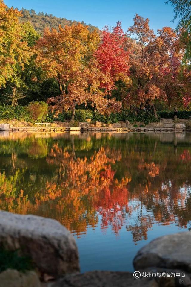 苏州秋天打卡线路推荐→