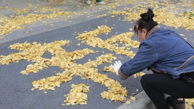 落叶缓扫，快来新津比“叶”！
