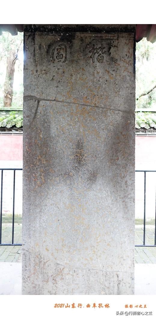 山东行游影记（228）—曲阜孔林（四）