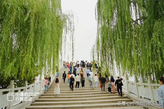 在西安就能看“海”！景美、不挤、很出片，还是七夕文化发源地