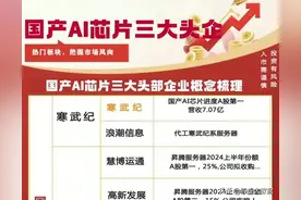 AI芯片十大龙头企业盘点！图片