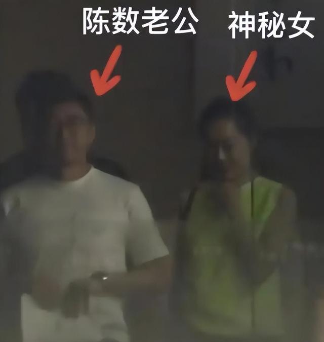 钱再多有什么用？这次，陈数的现状，给所有已婚未育的人提了个醒