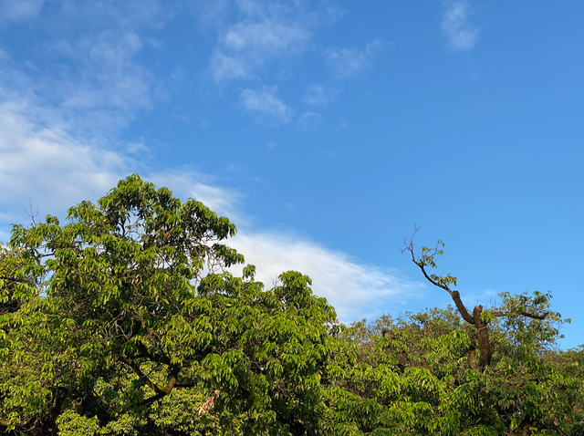 麒麟山真理公园1：这里的美景惊艳整个黄埔，你来过这里吗？