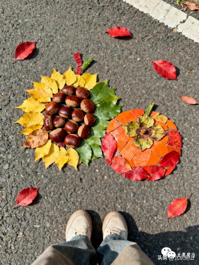 橙黄橘绿满山野，这场“捡秋”之旅别错过！