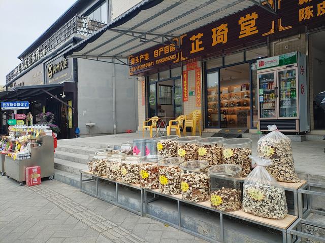 2026温暖广东之旅：漫游珠海、新会、江门