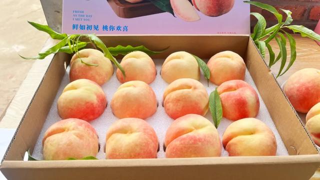 国庆哪里耍?太乙镇200亩桃园带娃、采摘、美食一站式搞定