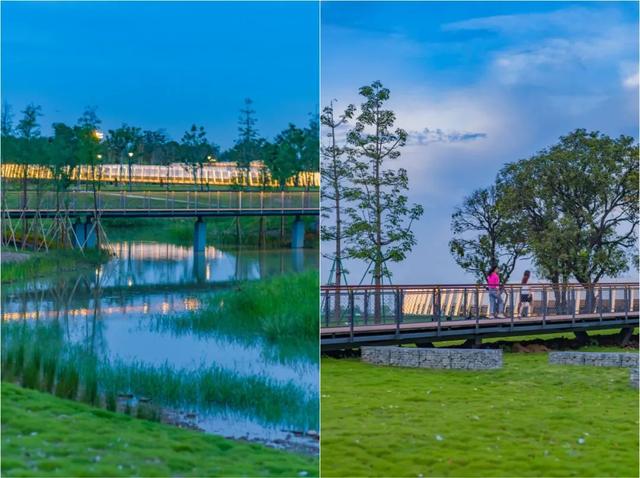 逛完你的逛你的，桂城公园真的逛不完！免费畅玩→