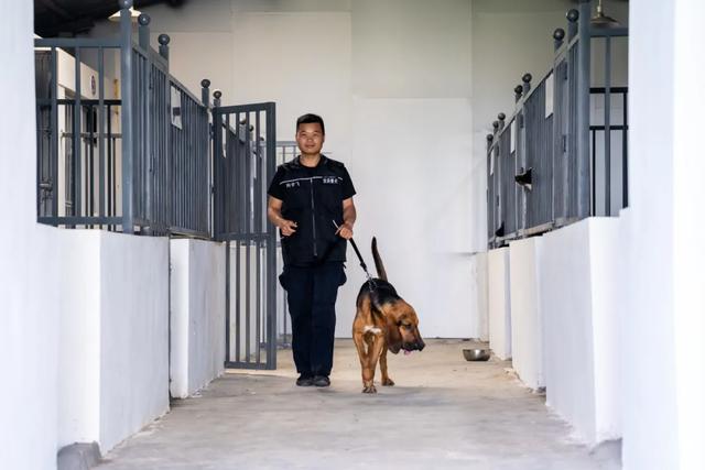 哈瑞，闻着味儿就来了！