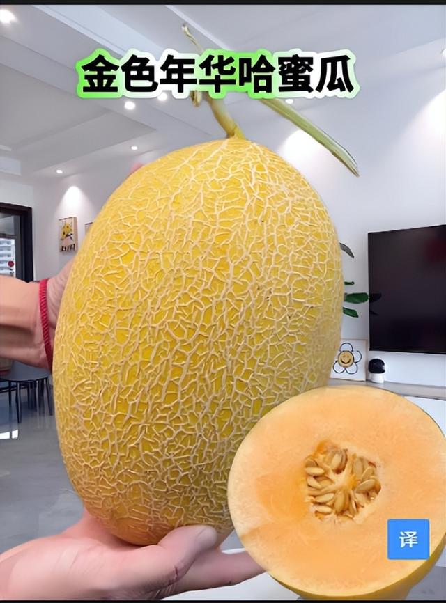盛情难却，回乌市途中，去了石河子阿姨家，吃到了最甜的金色年华