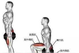 为什么十个深蹲不如一个箭步蹲？图片