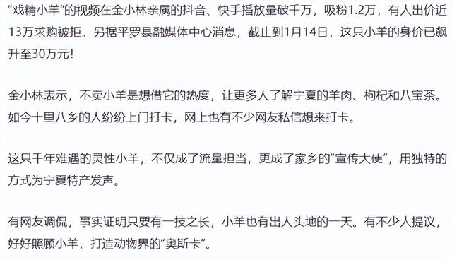 网红羊后续：身价涨三十万	，真相揭秘不出所料，小羊可能保不住了