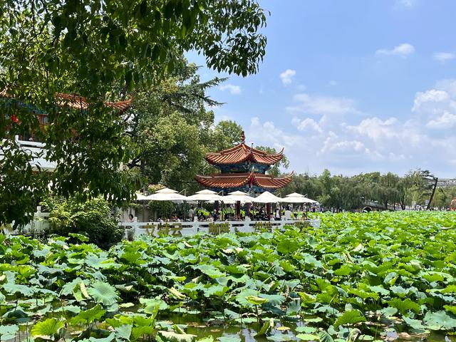 途经春城第四次，逛吃昆明一整天