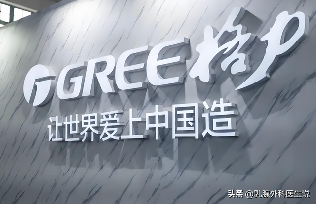 国产芯被窃取！内鬼海归身份曝光，董明珠说的话，终于有人信了