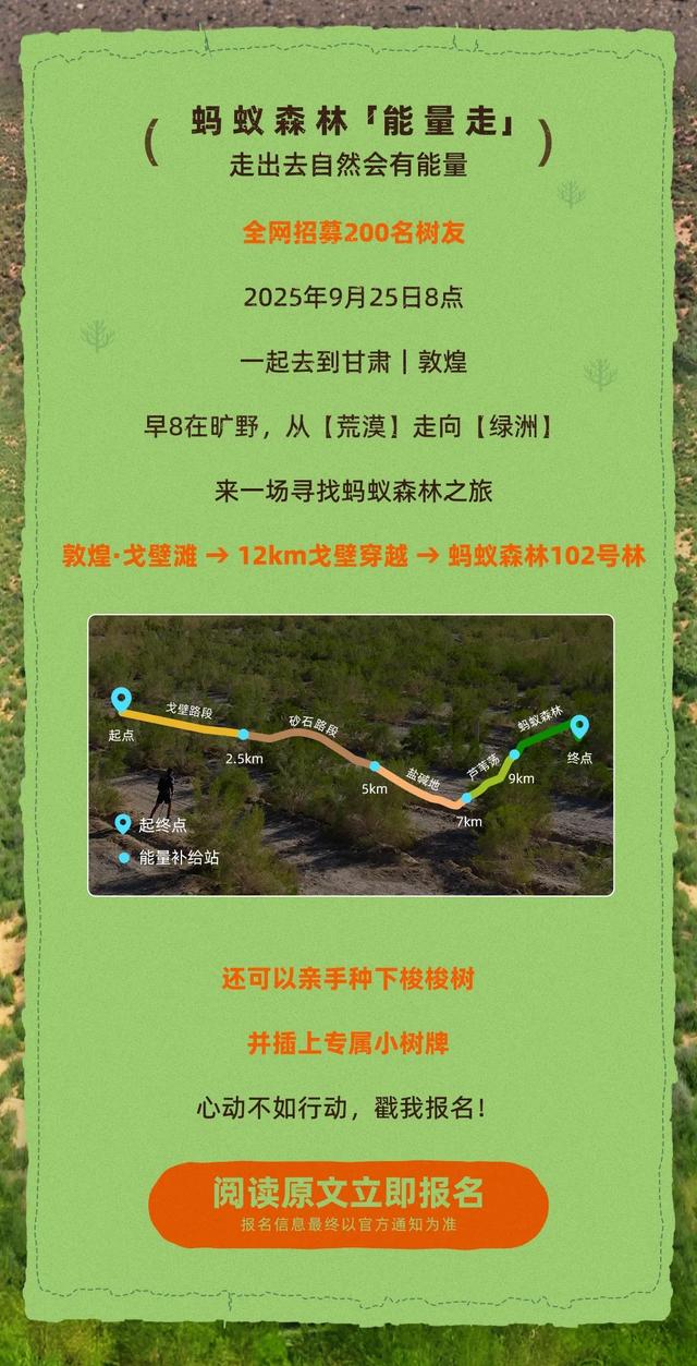 在？蚂蚁森林9周年，一起去敦煌走走