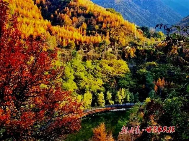 叮～你有一份官鹅沟秋日限定惊喜，请及时签收