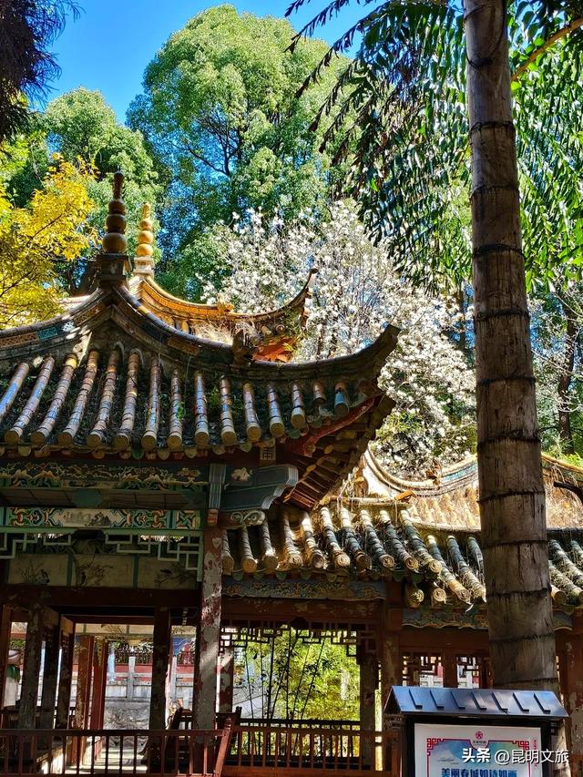 新晋顶流！「阴丹蓝+初雪白」，冬日昆明继续上分，你该换屏保了~