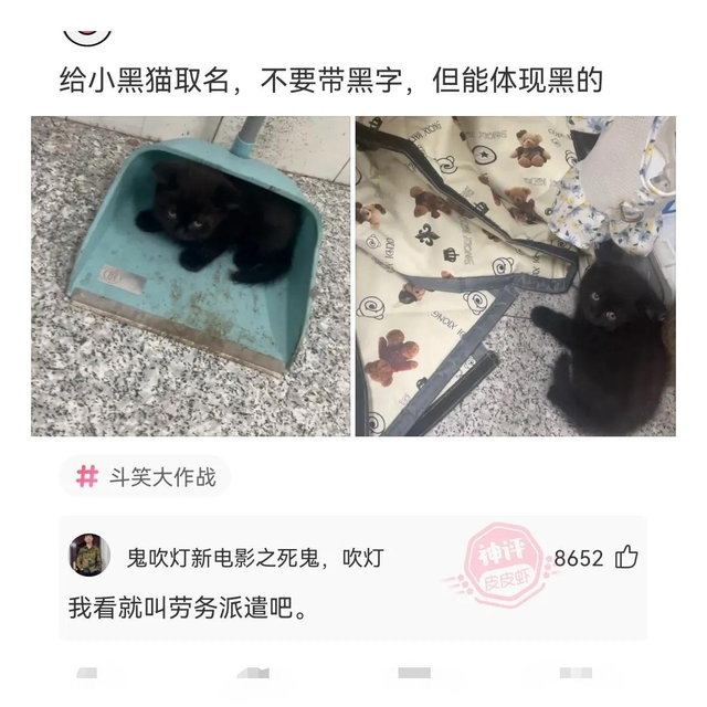 神回复：姐姐的腿不是腿，是塞纳河畔的春水。