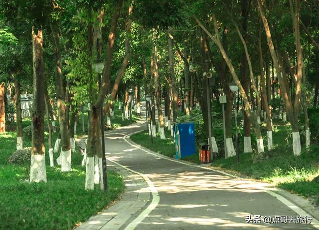 成都市内乘凉公园，风景秀美、清凉，不要门票，地铁公交可达！