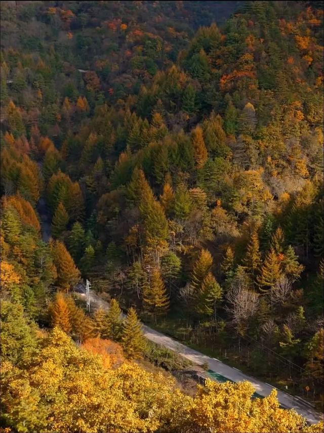 山野拾童趣!带娃来汉中这里,共享秋日亲子好时光~