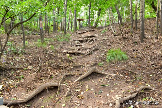 河北百草畔（上）：风动孤石悬险韵，蚁巡深岭蕴生机