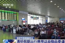 清明假期出行提示来啦！这些物品禁止携带乘车→图片