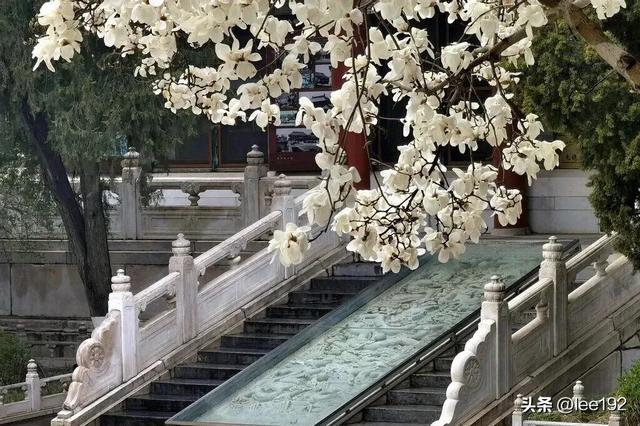 细赏王府系列之—雨中协和(49)《13》