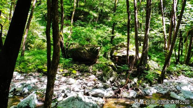 西安周边 | 这个秋天不可错过的宝藏旅行地！