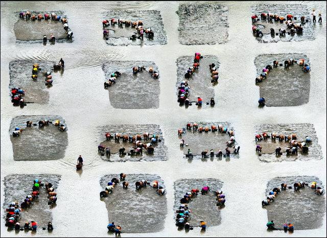 这是油画还是实景？太美太美啦！！